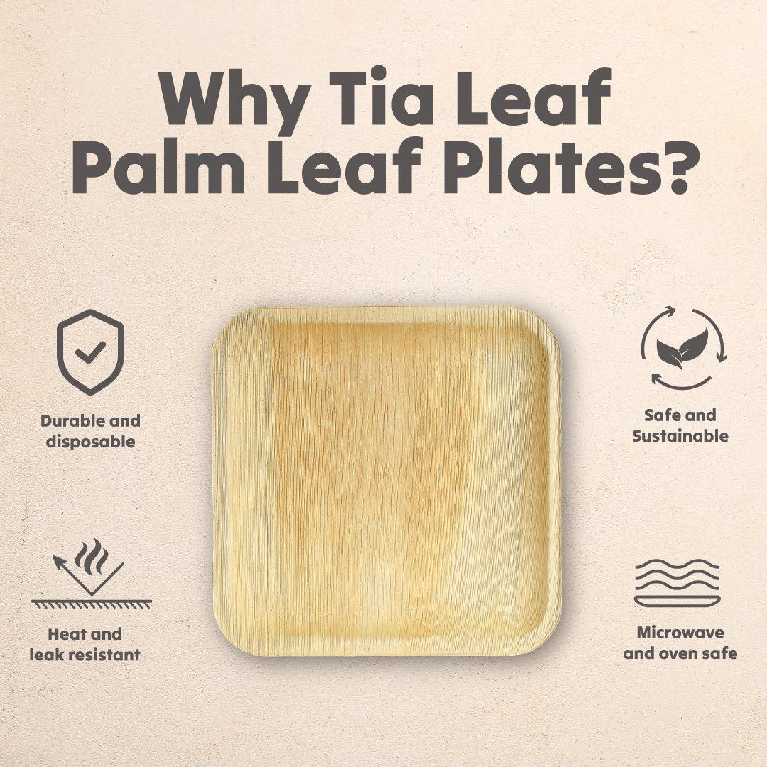 Why You Should Use Eco-Friendly Disposable Plates