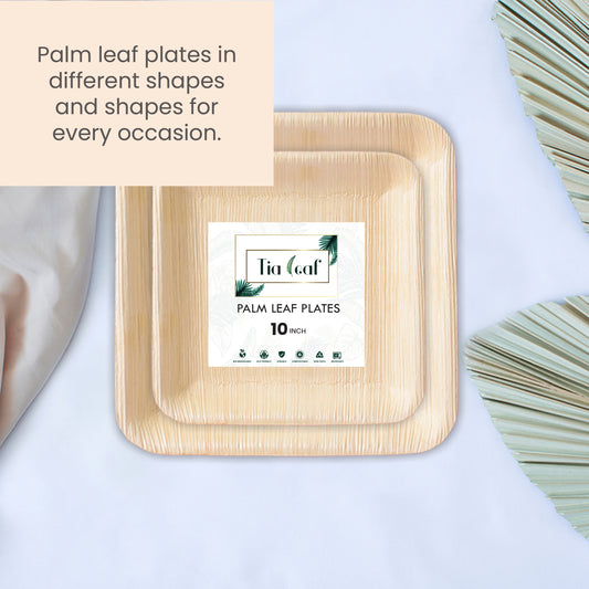 Can Palm Leaf Plates Be Composited?