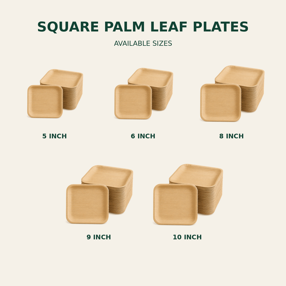Square Palm Leaf Plates – 5, 6, 8, 9, 10 Inch size guide showing available product dimensions