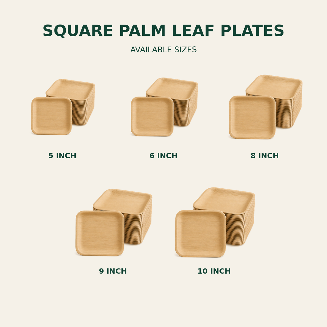 Square Palm Leaf Plates – 5, 6, 8, 9, 10 Inch size guide showing available product dimensions