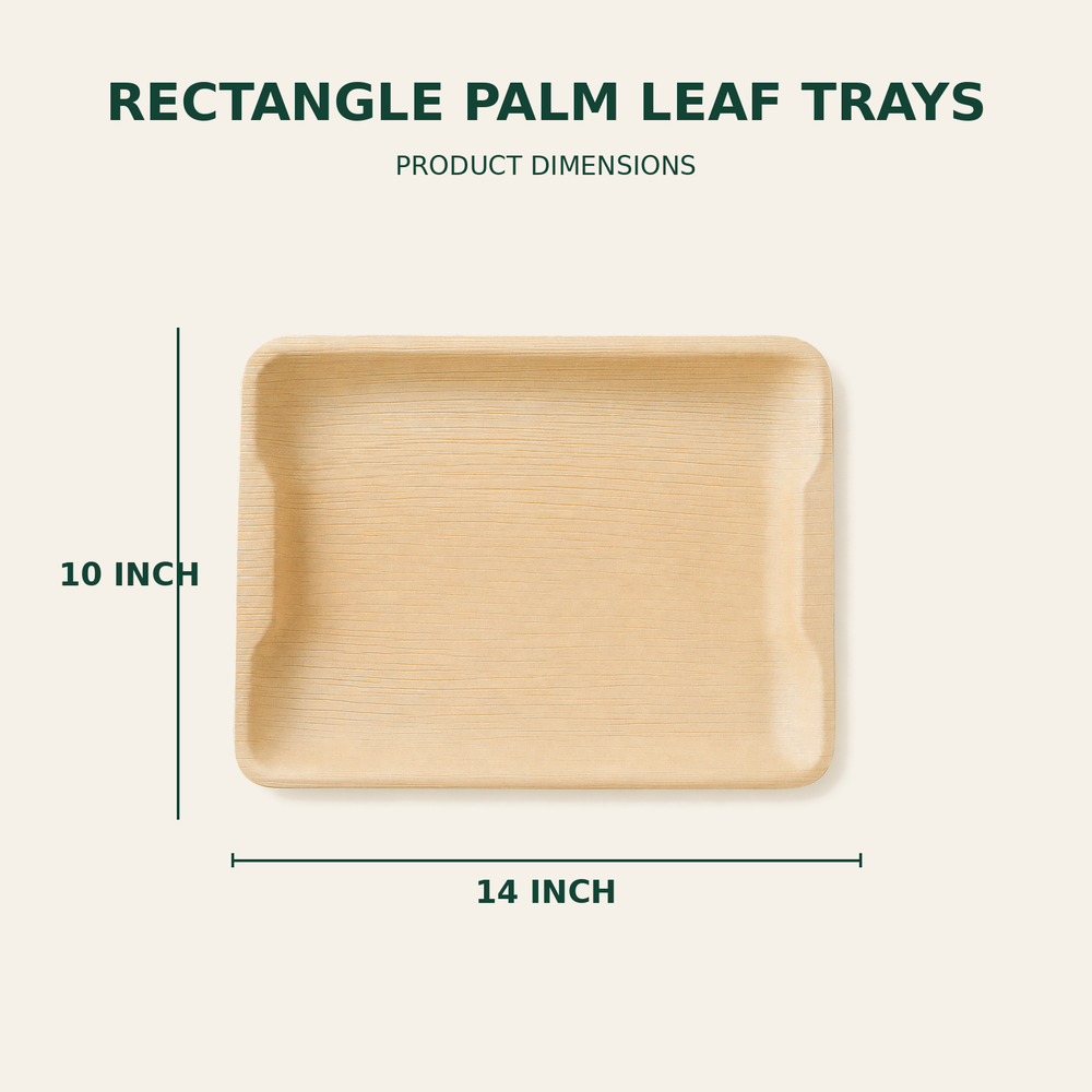 Rectangle Palm Leaf Trays – 14x10 Inch size guide showing available product dimensions