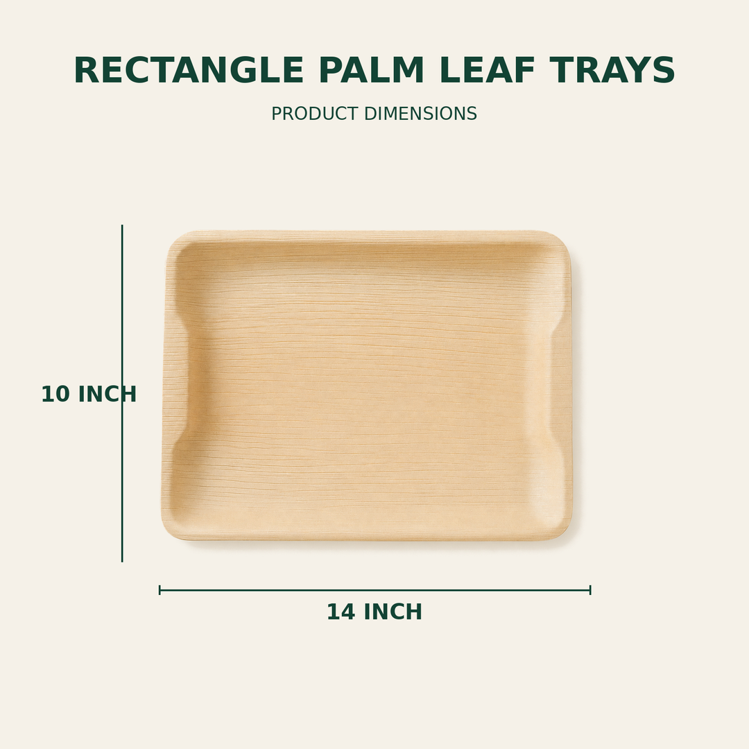 Rectangle Palm Leaf Trays – 14x10 Inch size guide showing available product dimensions