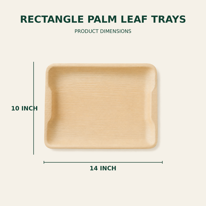Rectangle Palm Leaf Trays – 14x10 Inch size guide showing available product dimensions