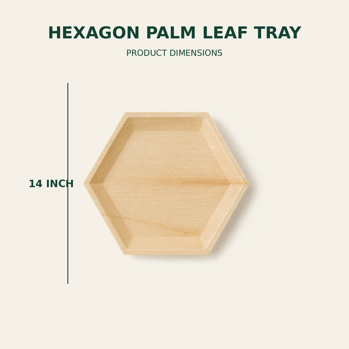 Hexagon Palm Leaf Tray – 14 Inch size guide showing available product dimensions