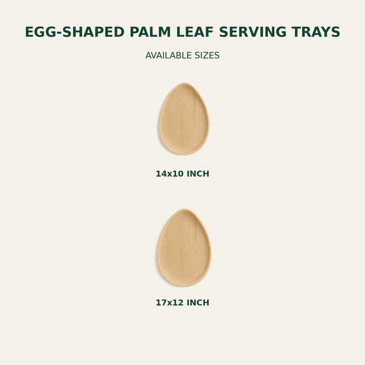 Egg-Shaped Palm Leaf Serving Trays – 14x10, 17x12 Inch size guide showing available product dimensions