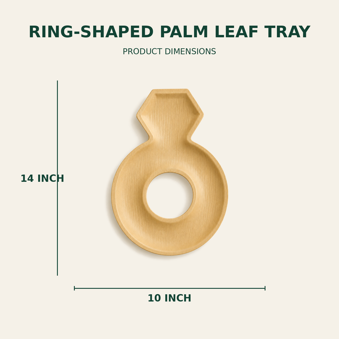 Ring Palm Leaf Tray – 14x10 Inch size guide showing available product dimensions