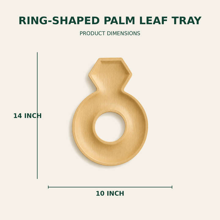 Ring Palm Leaf Tray – 14x10 Inch size guide showing available product dimensions