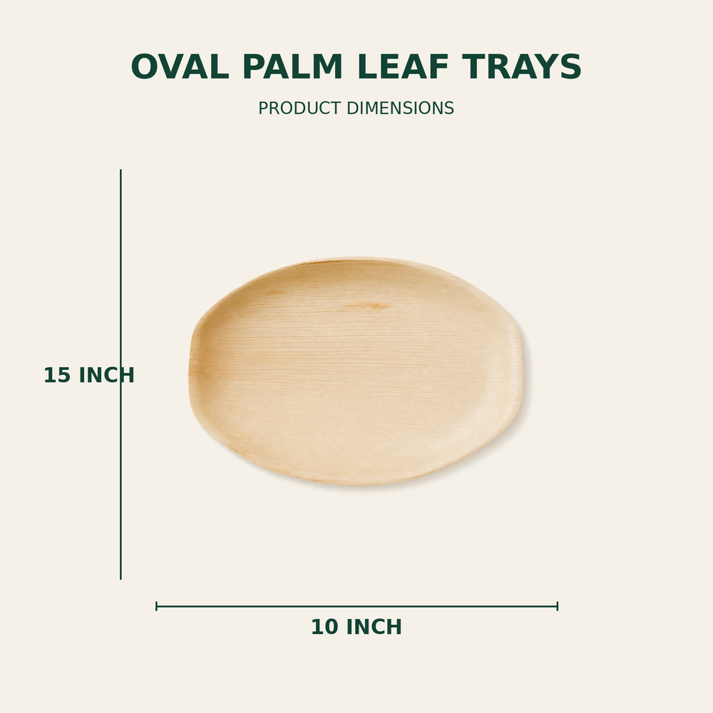 Oval Palm Leaf Trays – 15x10 Inch size guide showing available product dimensions