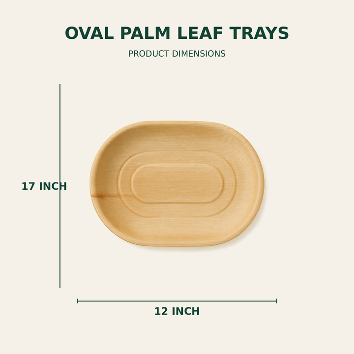 Oval Palm Leaf Trays – 17x12 Inch size guide showing available product dimensions