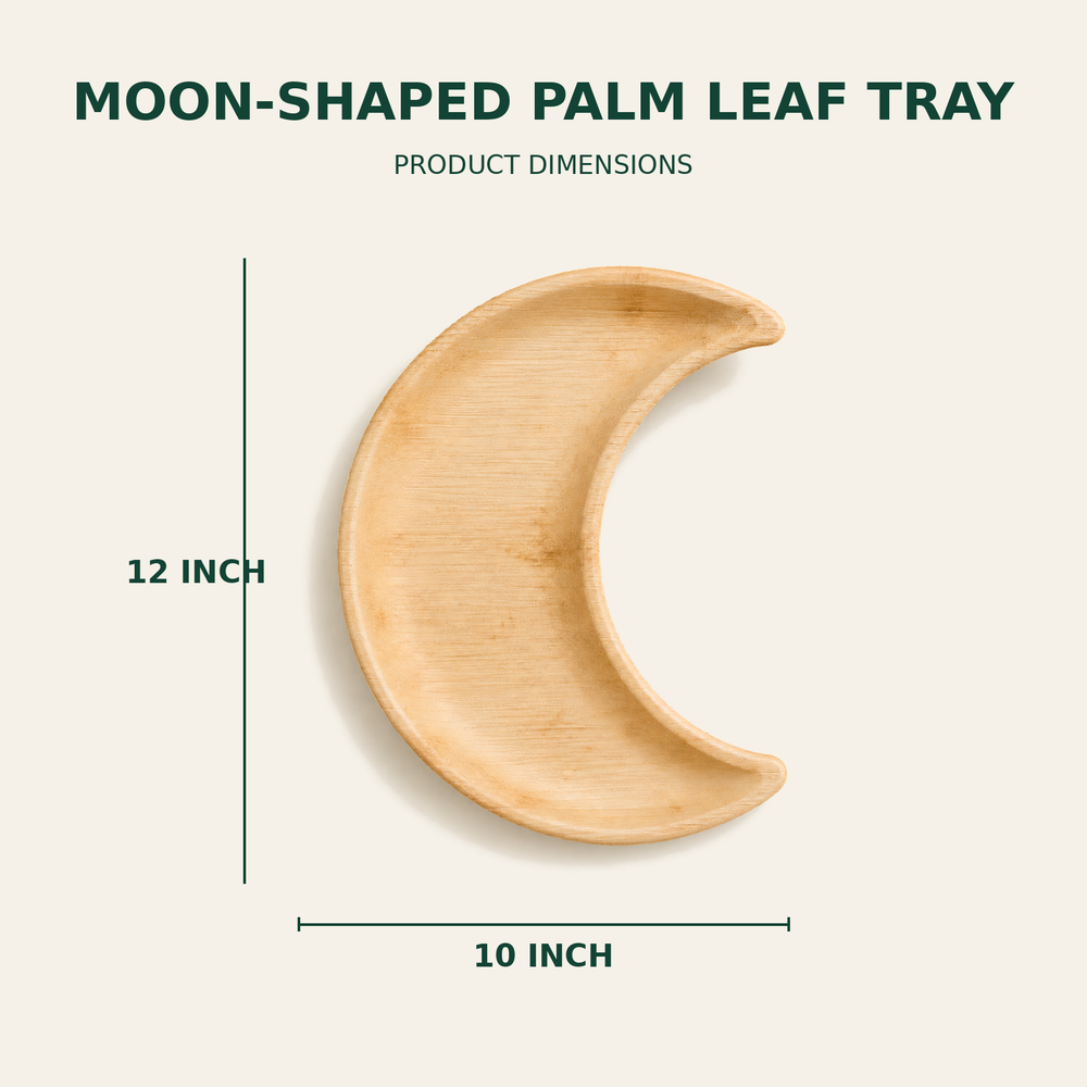 Moon Palm Leaf Tray – 12x10 Inch size guide showing available product dimensions